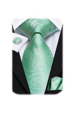 2619 Mint Green Ties Silk Paisley Spring Necktie Pocket Square Cufflinks